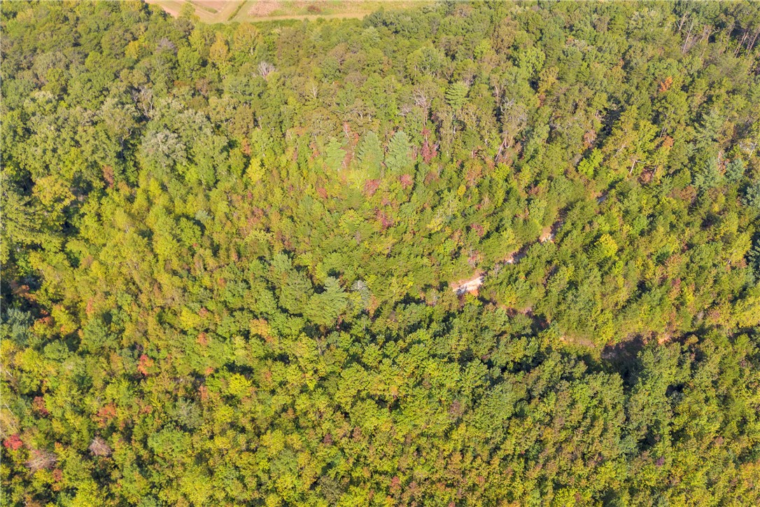 0 Walking Tall Ridge Tamassee, SC 29686 - Photo 46 of 50