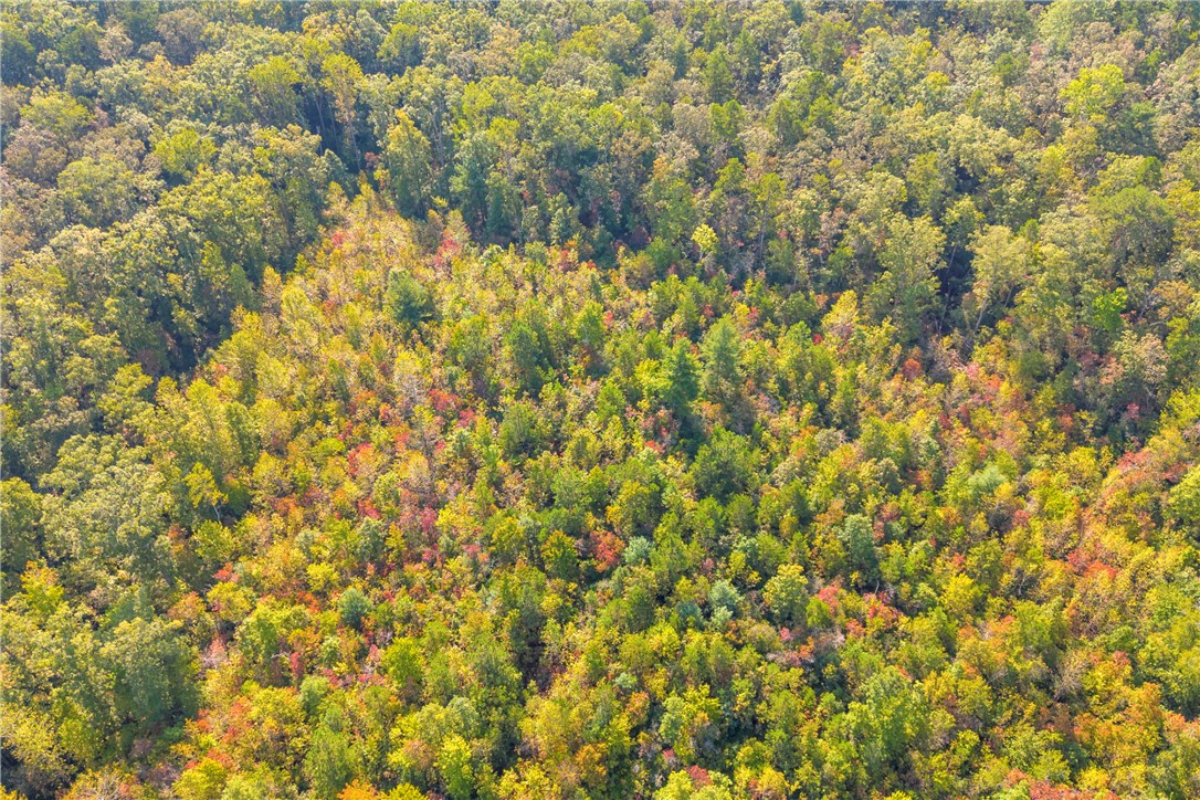 0 Walking Tall Ridge Tamassee, SC 29686 - Photo 47 of 50