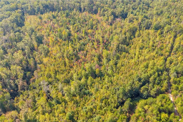 $263,000 | 0 Walking Tall Ridge, Tamassee, SC 29686