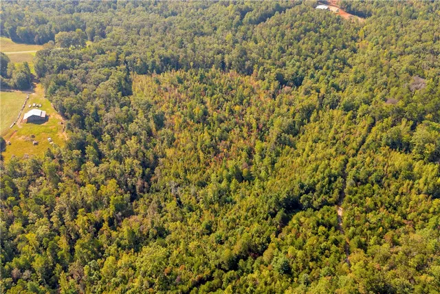 $263,000 | 0 Walking Tall Ridge, Tamassee, SC 29686