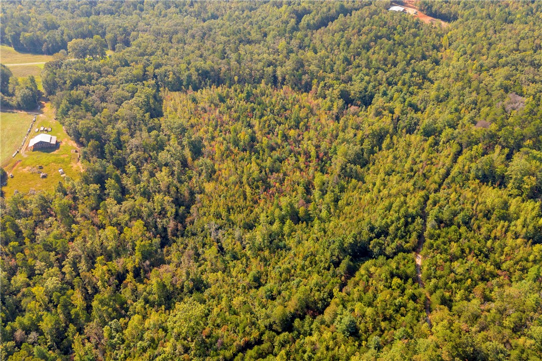 0 Walking Tall Ridge Tamassee, SC 29686 - Photo 49 of 50