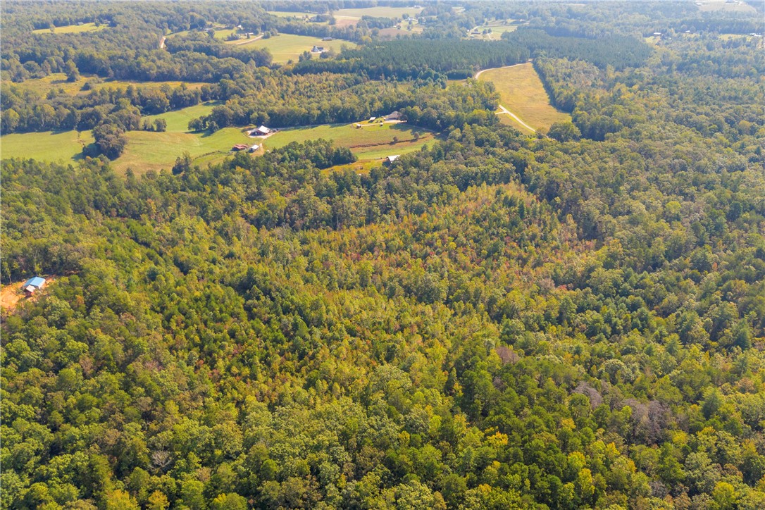 0 Walking Tall Ridge Tamassee, SC 29686 - Photo 50 of 50