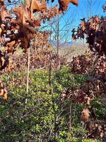 $263,000 | 0 Walking Tall Ridge, Tamassee, SC 29686