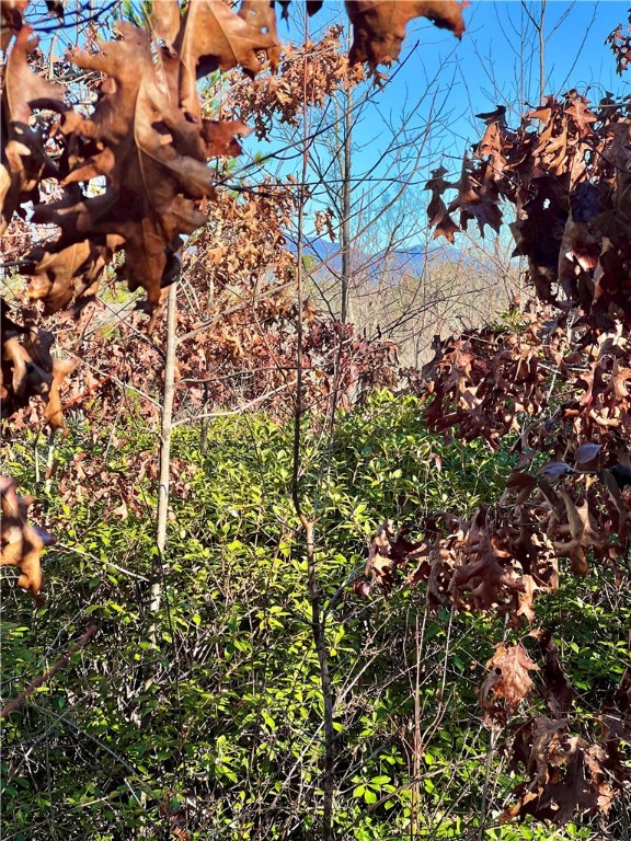 0 Walking Tall Ridge Tamassee, SC 29686 - Photo 8 of 50
