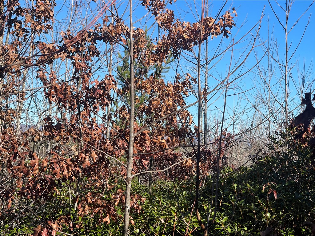 0 Walking Tall Ridge Tamassee, SC 29686 - Photo 10 of 50