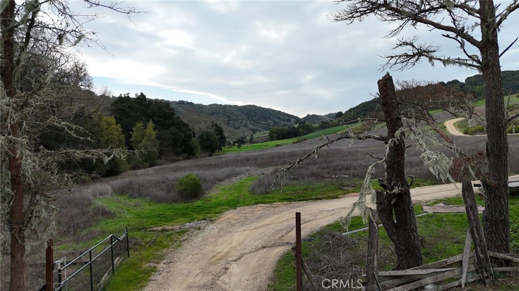 5495 Jack Creek Road Paso Robles, CA 93446 - Photo 11 of 13 a view of a street with a tree in the background