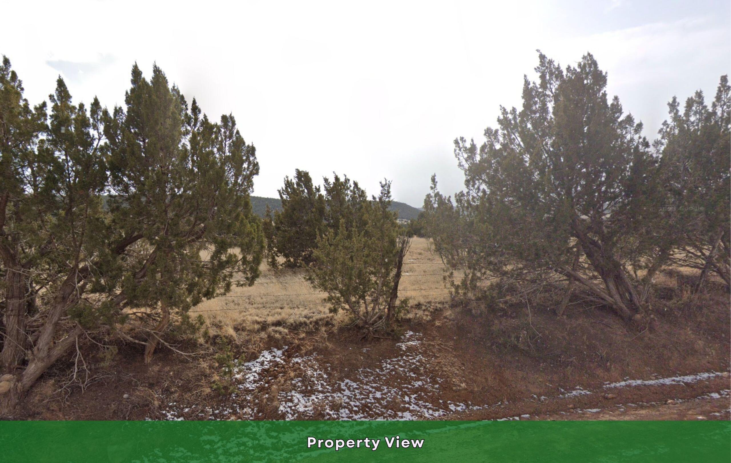 0 V-hill Road Edgewood, NM 87015 - Photo 16 of 25 Gallery Image 16