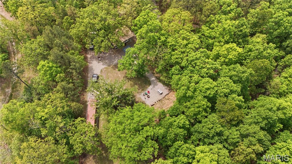 12949 Delbridge Road Potosi, MO 63664 - Photo 2 of 42