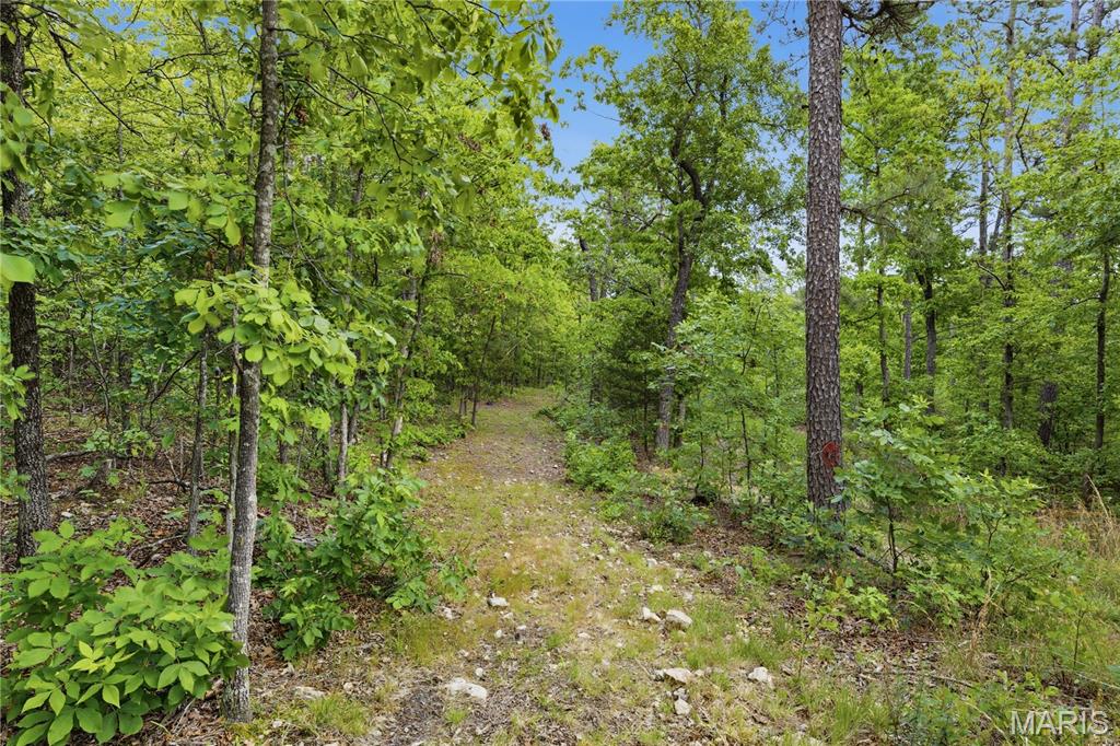 12949 Delbridge Road Potosi, MO 63664 - Photo 21 of 42