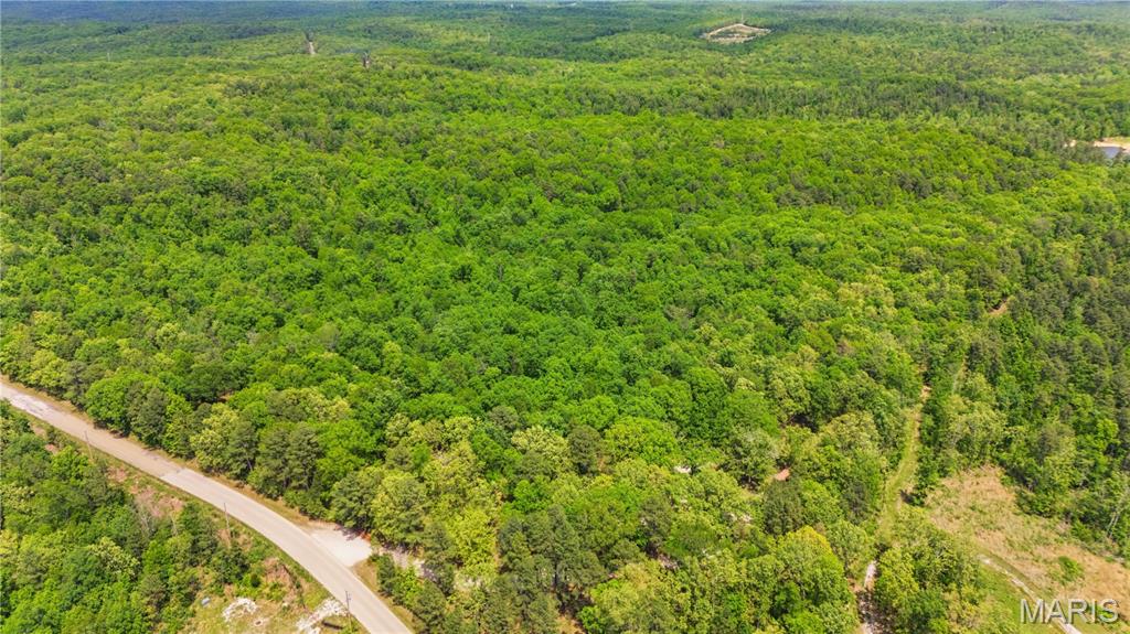 12949 Delbridge Road Potosi, MO 63664 - Photo 22 of 42