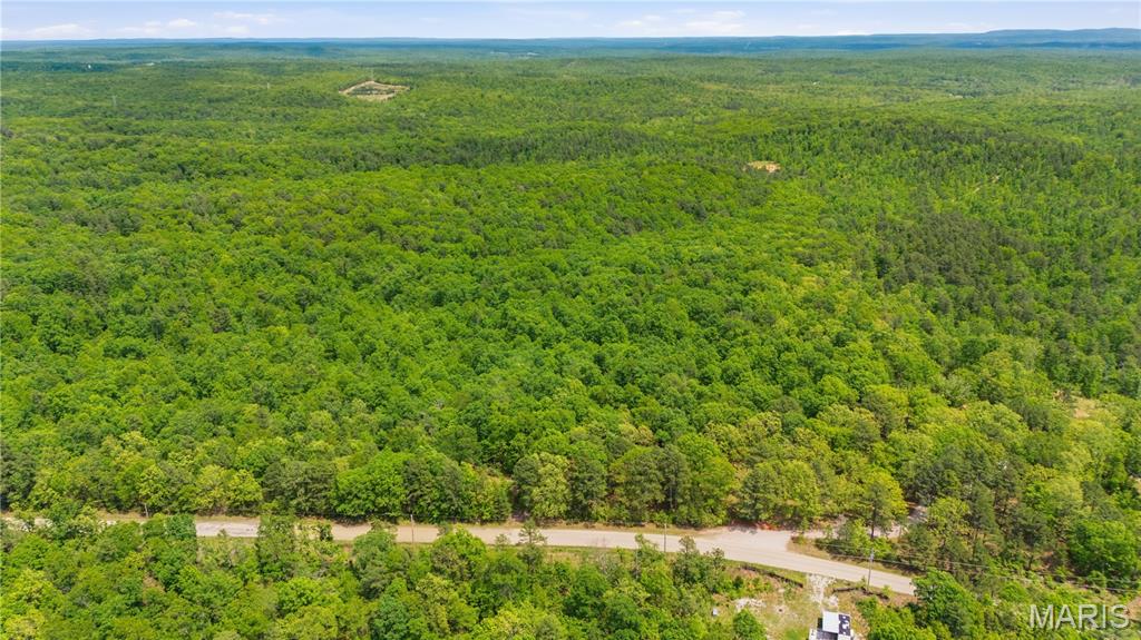 12949 Delbridge Road Potosi, MO 63664 - Photo 23 of 42