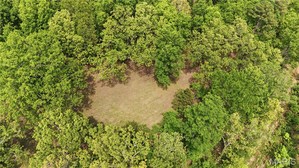 12949 Delbridge Road Potosi, MO 63664 - Photo 29 of 42