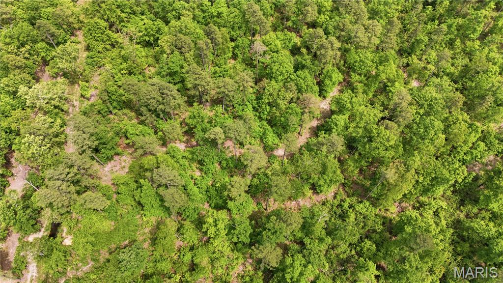 12949 Delbridge Road Potosi, MO 63664 - Photo 31 of 42