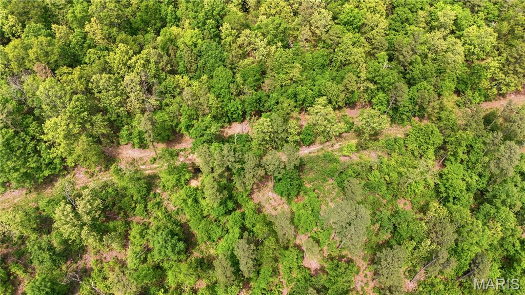 12949 Delbridge Road Potosi, MO 63664 - Photo 32 of 42