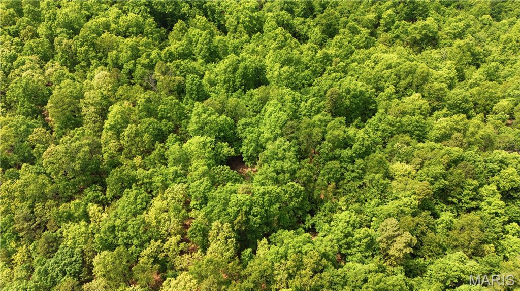 12949 Delbridge Road Potosi, MO 63664 - Photo 33 of 42