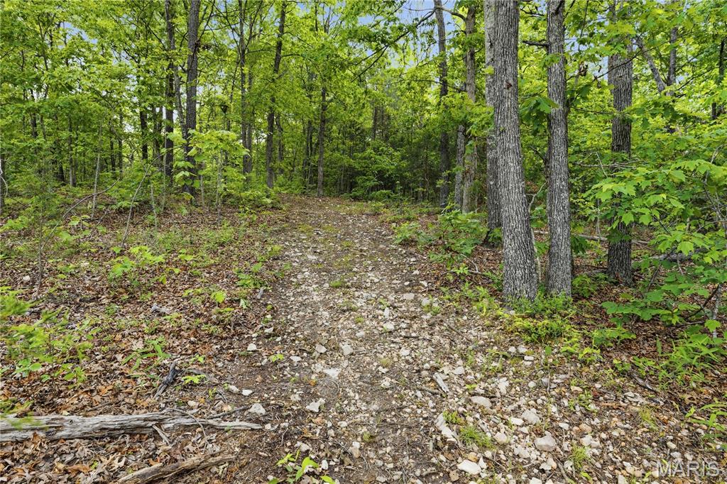 12949 Delbridge Road Potosi, MO 63664 - Photo 34 of 42