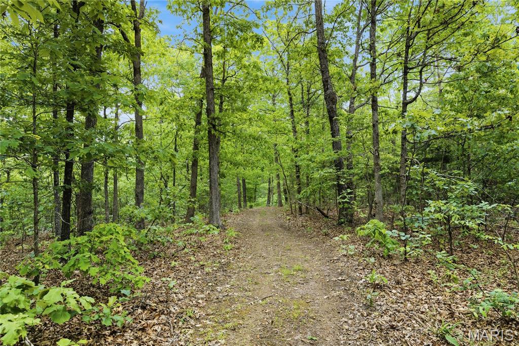 12949 Delbridge Road Potosi, MO 63664 - Photo 36 of 42