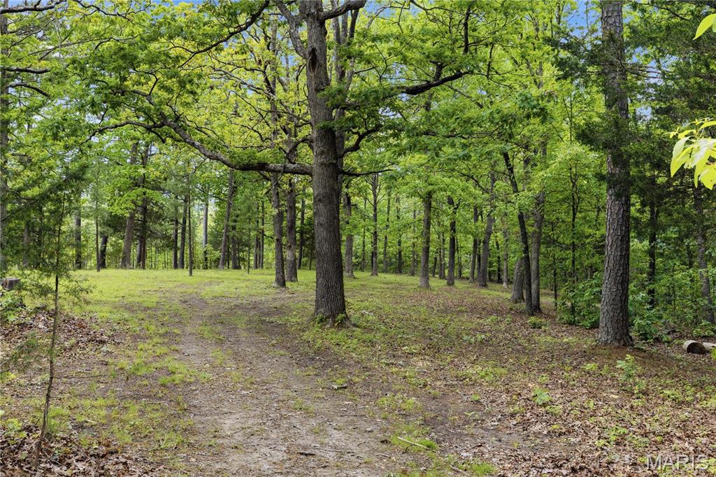 12949 Delbridge Road Potosi, MO 63664 - Photo 37 of 42