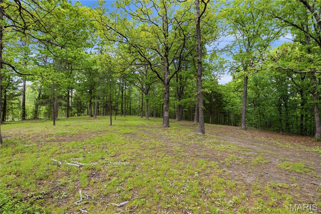 12949 Delbridge Road Potosi, MO 63664 - Photo 38 of 42