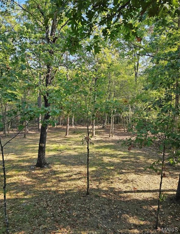 12949 Delbridge Road Potosi, MO 63664 - Photo 42 of 42