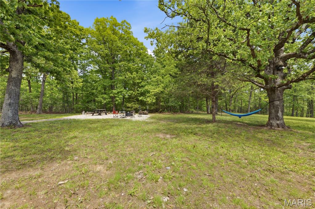 12949 Delbridge Road Potosi, MO 63664 - Photo 6 of 42