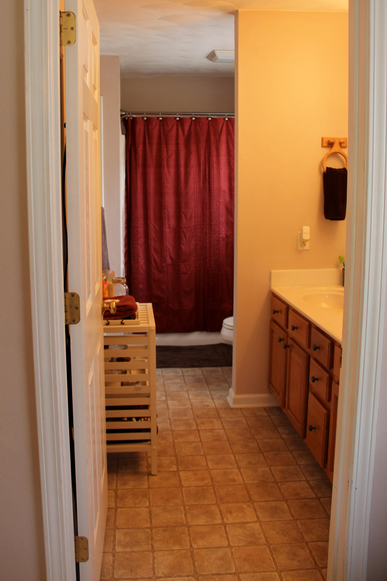 3485 Hales Ford Road Moneta, VA 24121 - Photo 14 of 27 master bath
