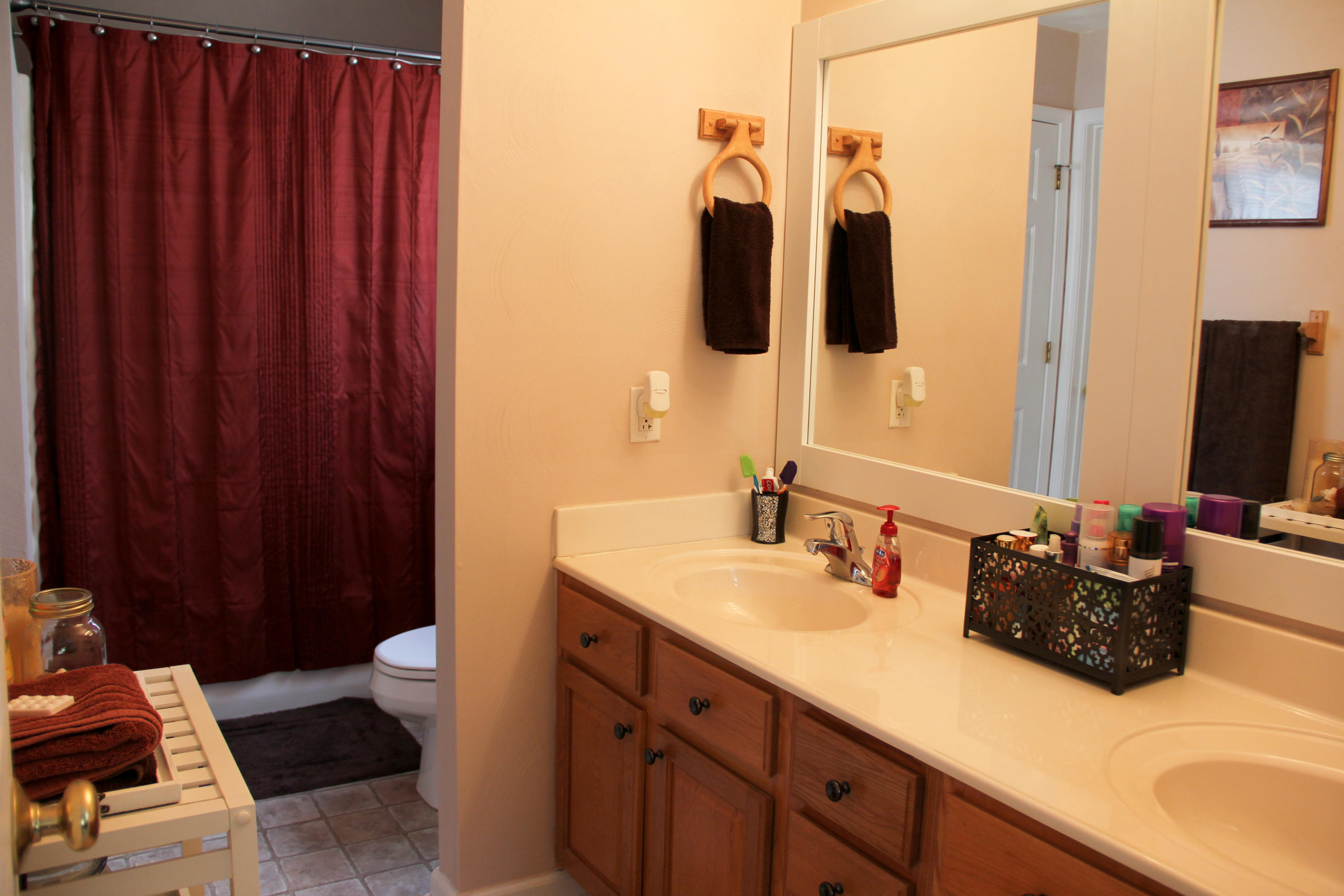 3485 Hales Ford Road Moneta, VA 24121 - Photo 16 of 27 master bath