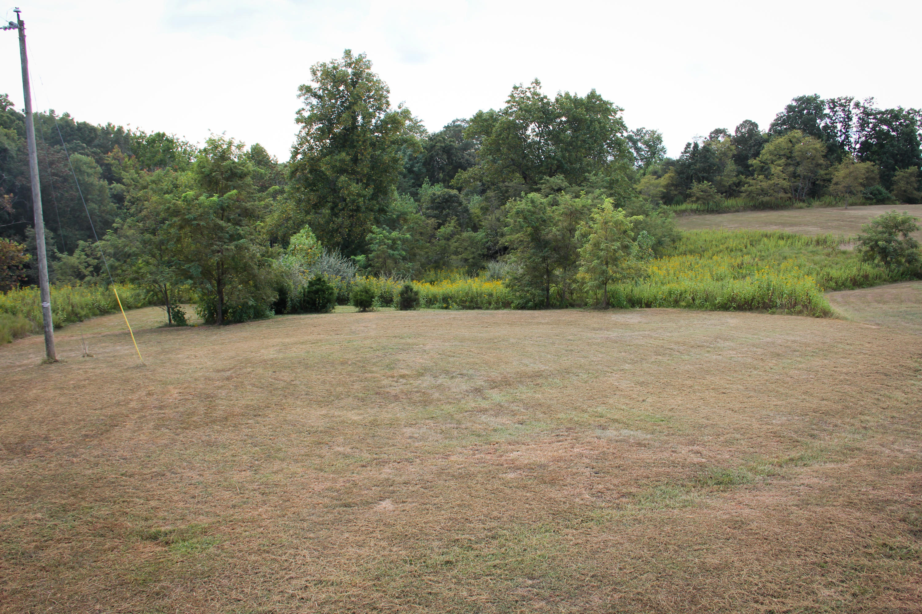3485 Hales Ford Road Moneta, VA 24121 - Photo 27 of 27 backyard 2
