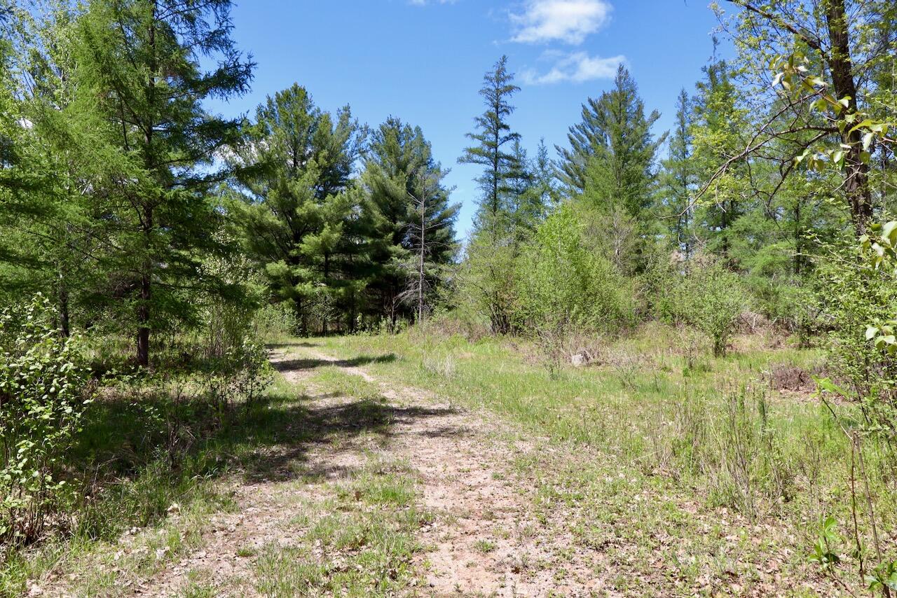 La Grant Road Alger, MI 48610 - Photo 25 of 46 020