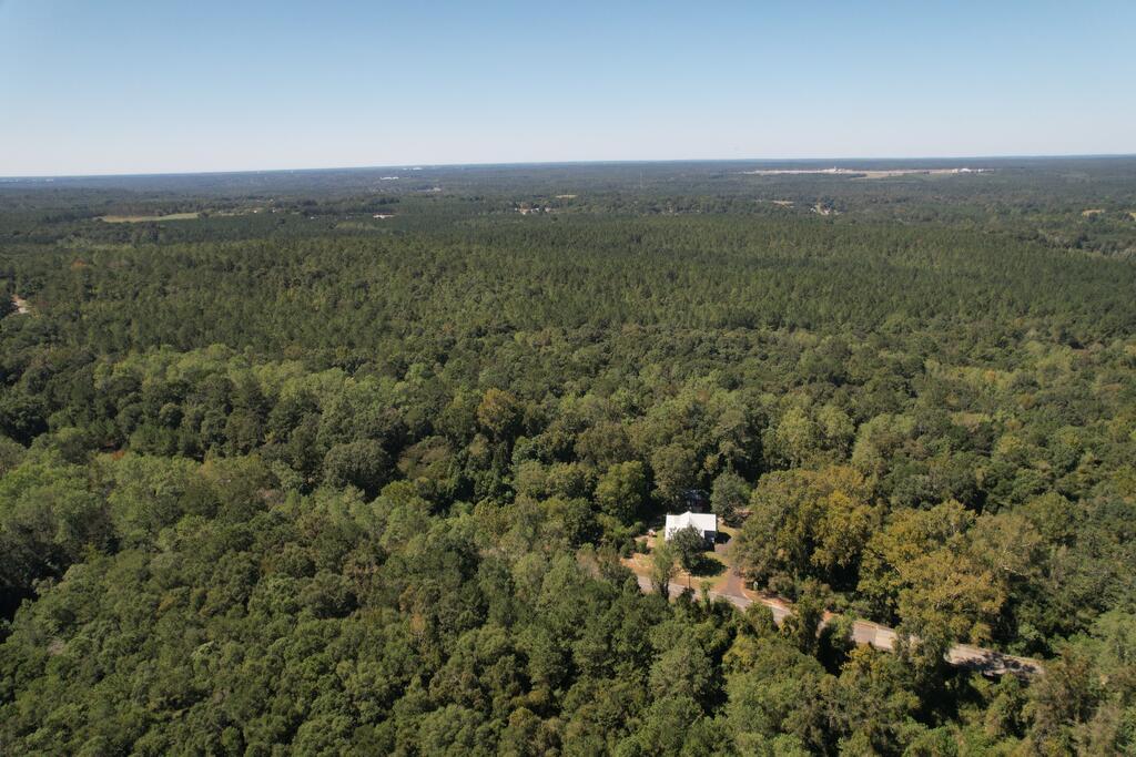 1212 Spring Street Newton, AL 36352 - Photo 45 of 50 Gallery Image 45