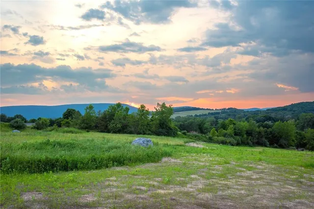 a view of a grassy field with trees