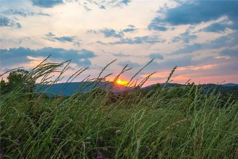 an aerial view of residential houses with outdoor space and trees