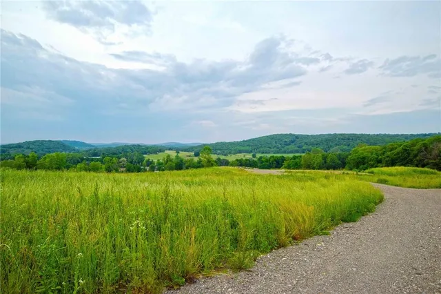 a view of a lush green field with lots of green space