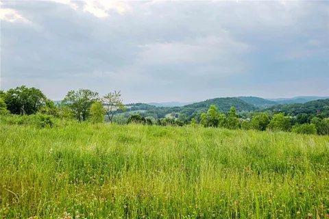 a view of a lush green space