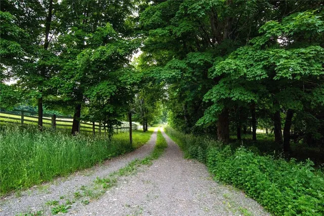a view of a lake with a yard