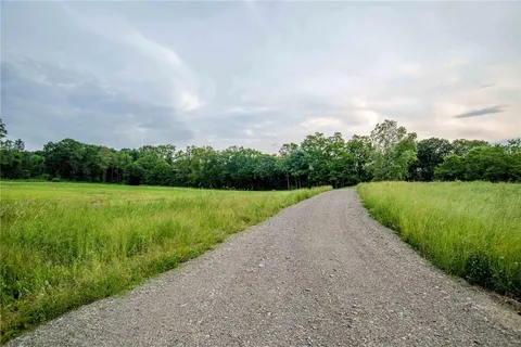 a view of a garden with clear sky