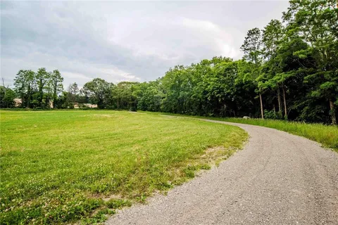 a view of a field with trees in the background