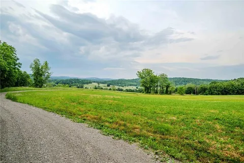a view of field with grass and trees