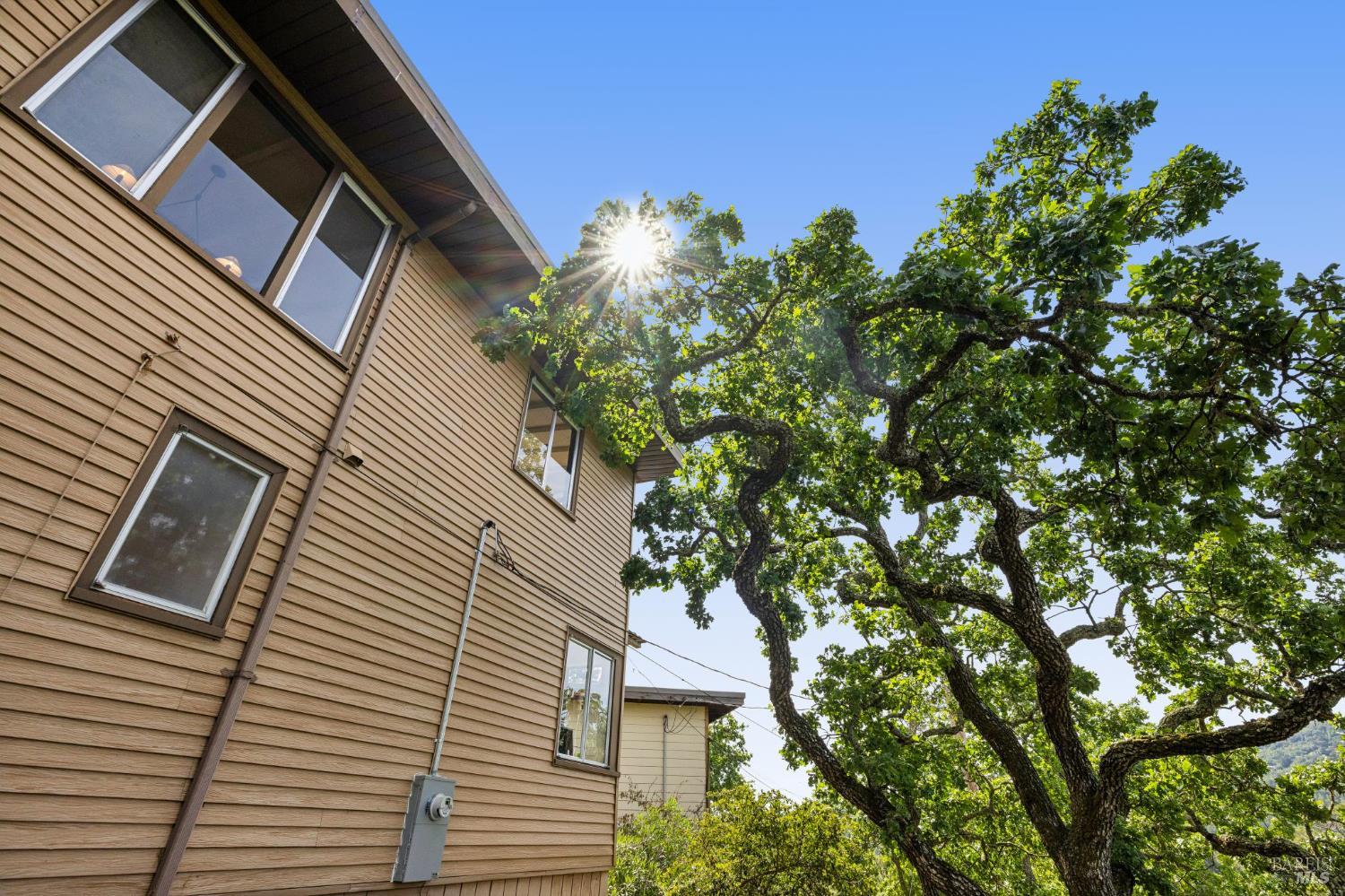 95 Ridge Road San Anselmo, CA 94960 - Photo 40 of 52