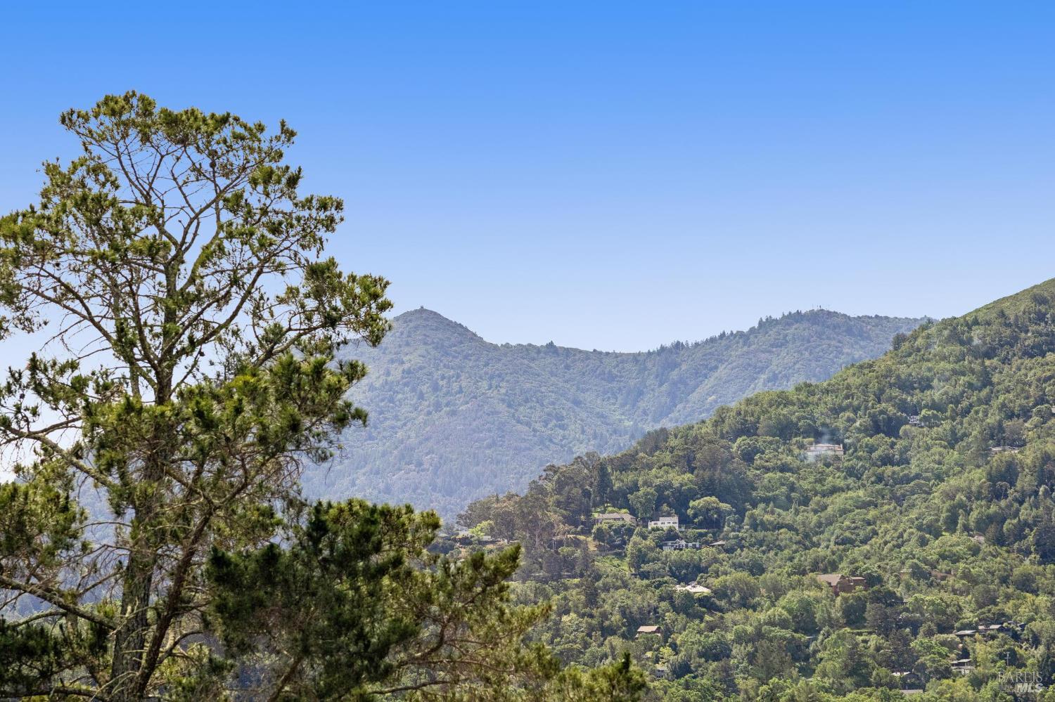 95 Ridge Road San Anselmo, CA 94960 - Photo 7 of 52