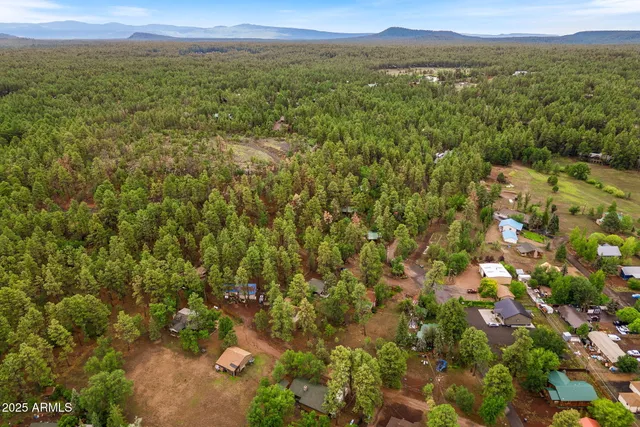 an aerial view of residential houses with outdoor space and mountain view