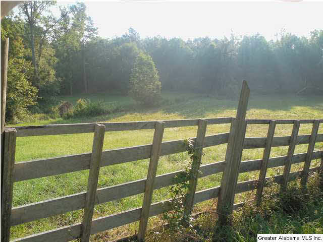 696 Kiniard Road Brent, AL 35034 - Photo 7 of 32