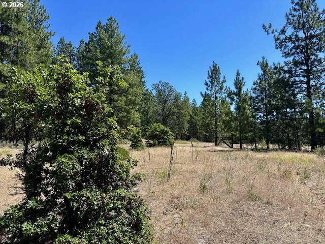 41 Timber Drive Goldendale, WA 98620 - Photo 20 of 23