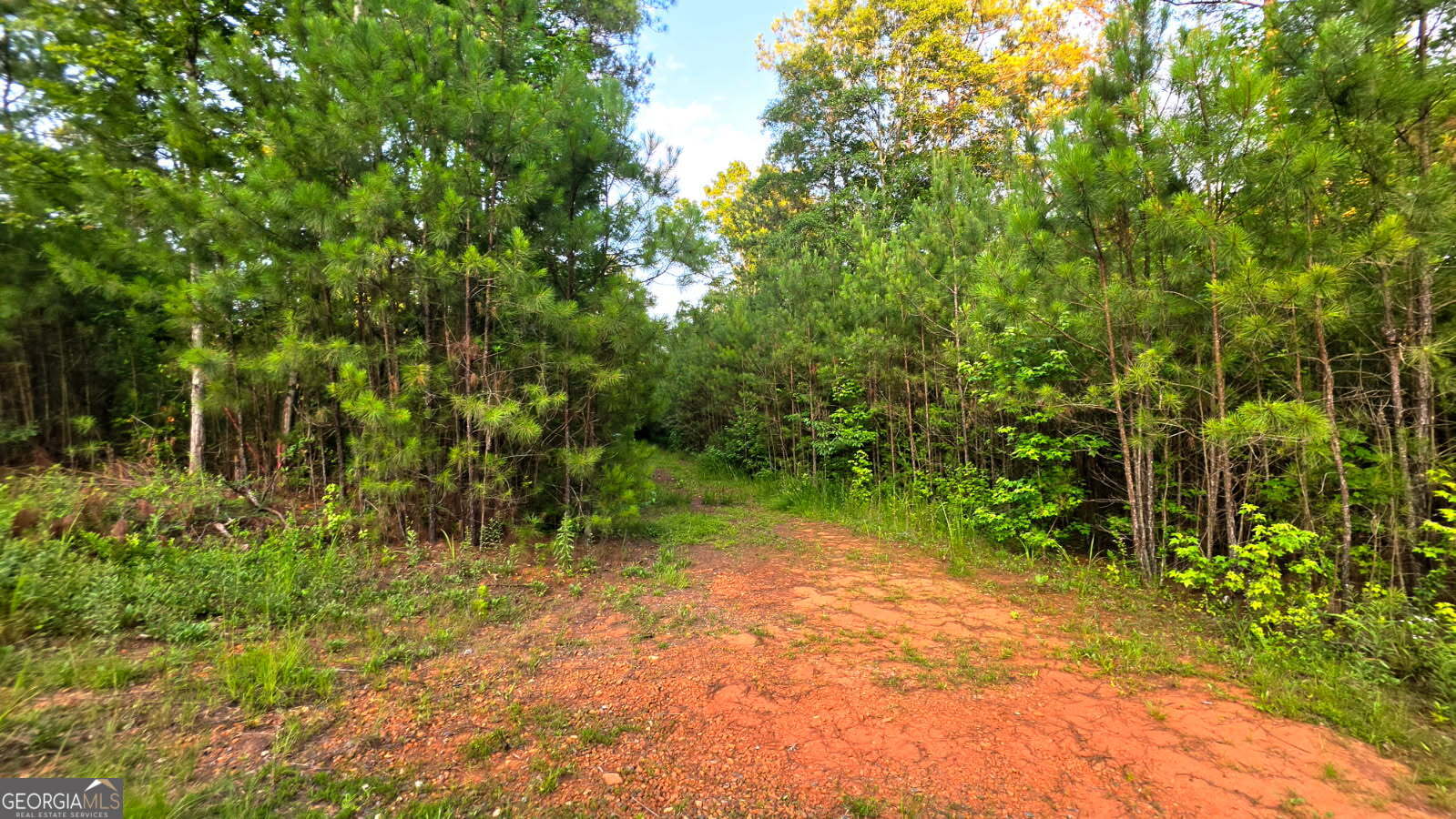 Lot 17 Gordon Road Forsyth, GA 31029 - Photo 2 of 2