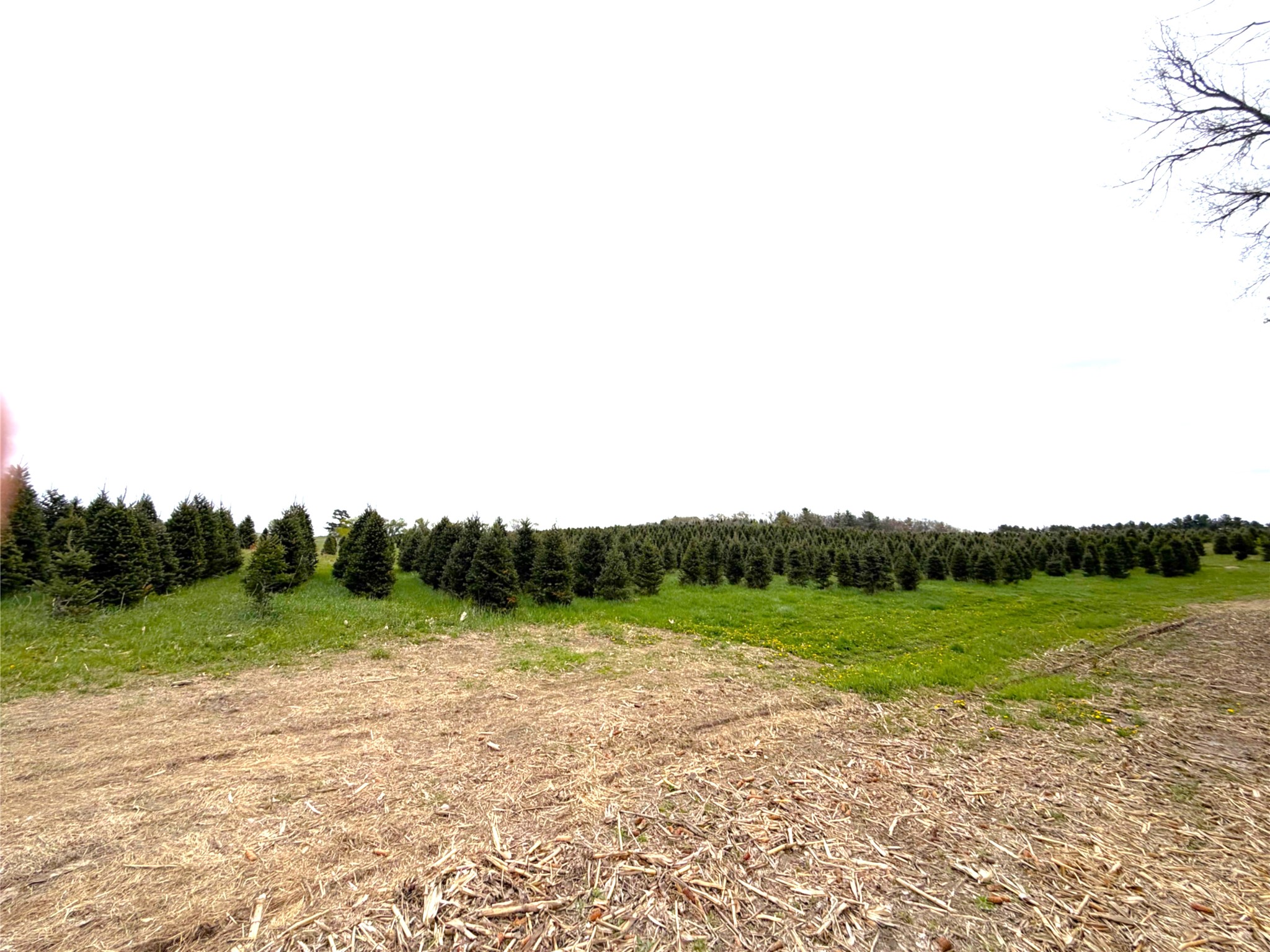60-acres South Pole Grove Road Alma Center, WI 54611 - Photo 5 of 13