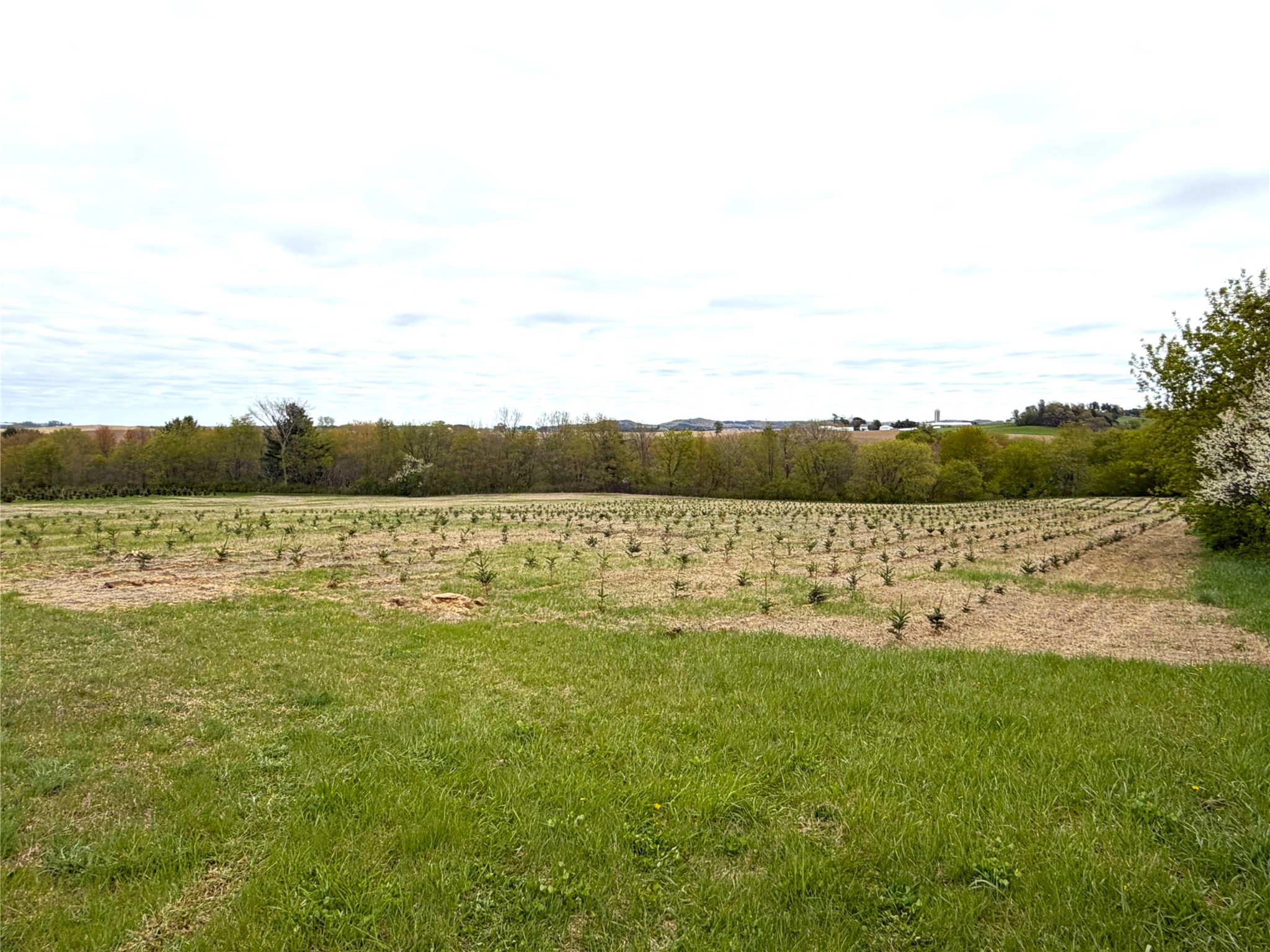 60-acres South Pole Grove Road Alma Center, WI 54611 - Photo 6 of 13