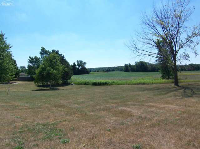 3403 Reid Road Swartz Creek, MI 48473 - Photo 44 of 45 21189660-43.JPG