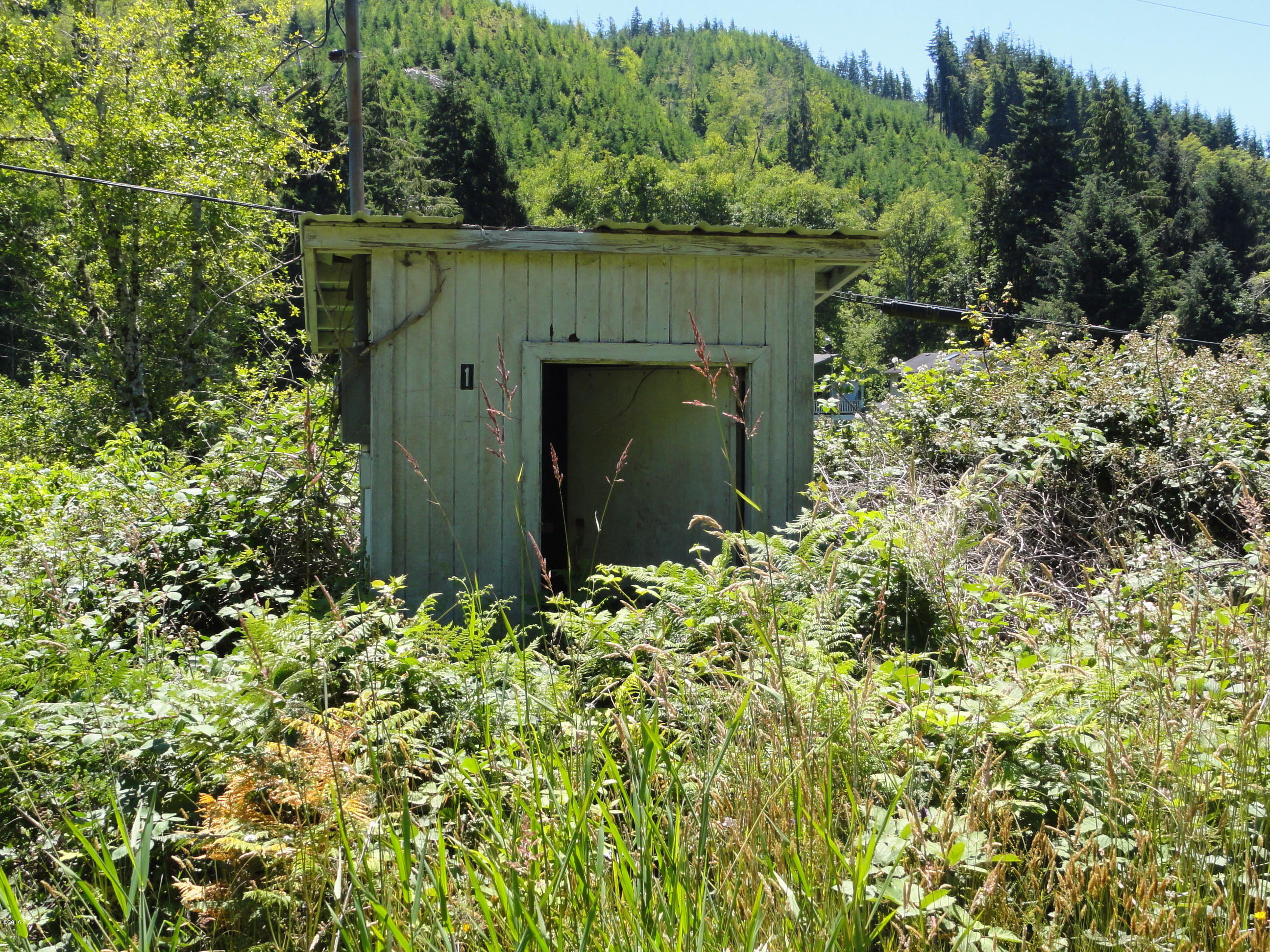 5679 South Immonen Road Lincoln City, OR 97367 - Photo 42 of 45 DSC03363