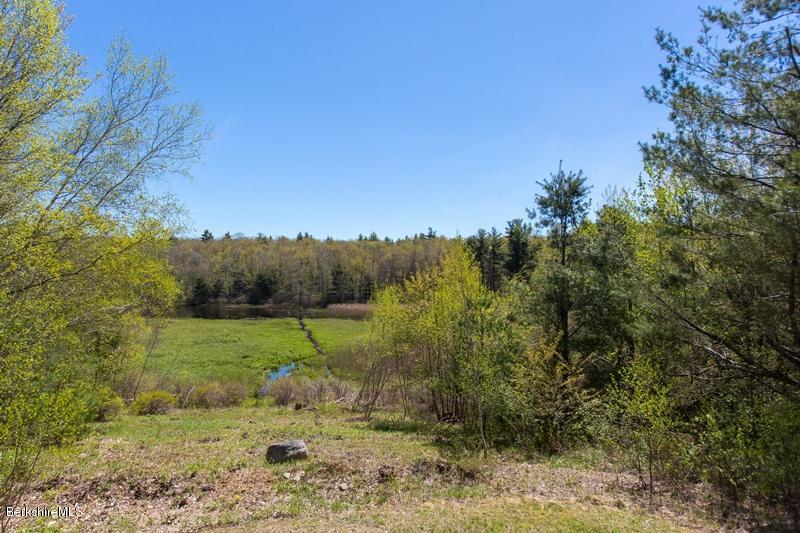 49 New Hartford Road Sandisfield, MA 01255 - Photo 8 of 41 a view of an outdoor space with green field and trees
