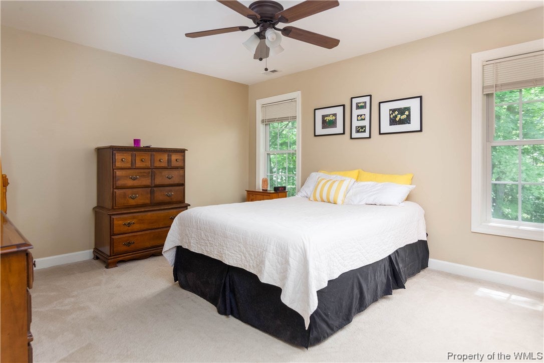 8976 Croaker Road Williamsburg, VA 23188 - Photo 30 of 35 Gallery Image 30